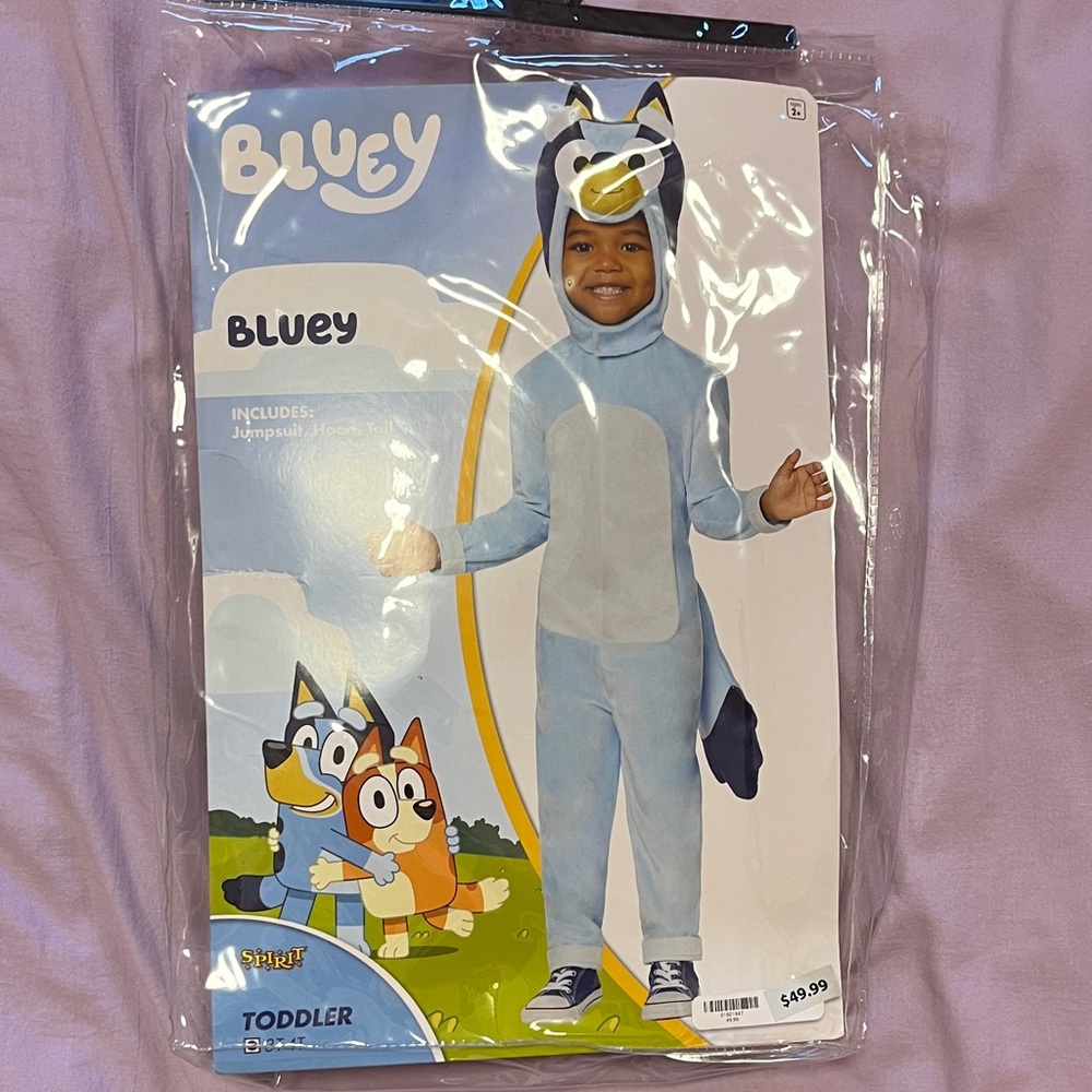 Bluey Kids Costume